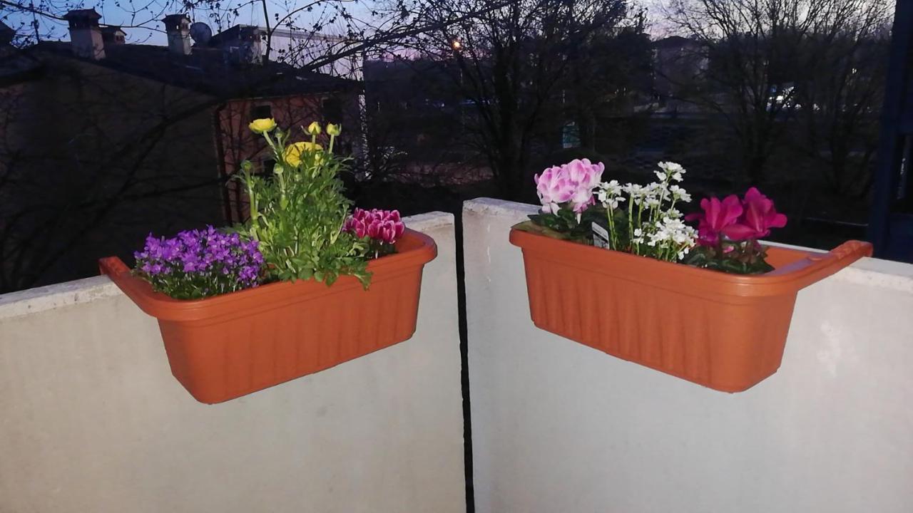 Appartamento incantevole con parcheggio gratuito Verona Esterno foto
