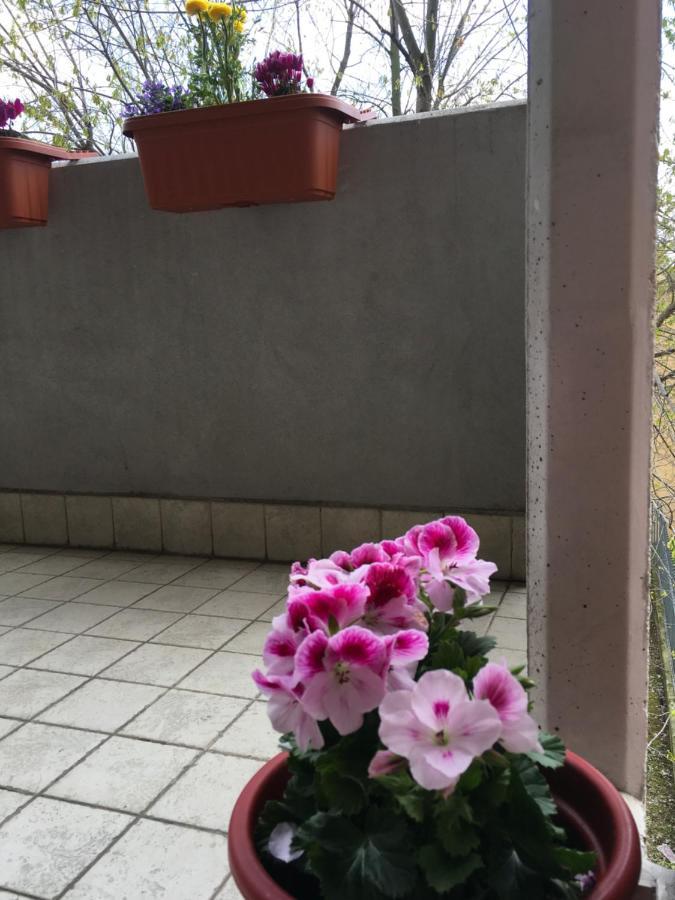 Appartamento incantevole con parcheggio gratuito Verona Esterno foto